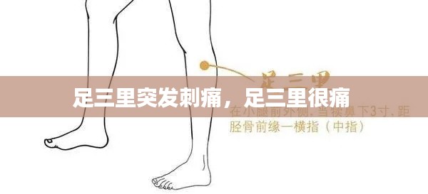 足三里突發(fā)刺痛，足三里很痛 
