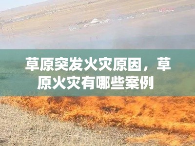 采椽不斫 第2頁