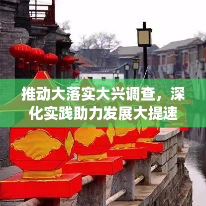 推動大落實(shí)大興調(diào)查，深化實(shí)踐助力發(fā)展大提速