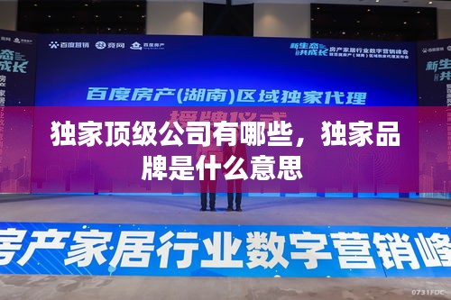獨家頂級公司有哪些，獨家品牌是什么意思 