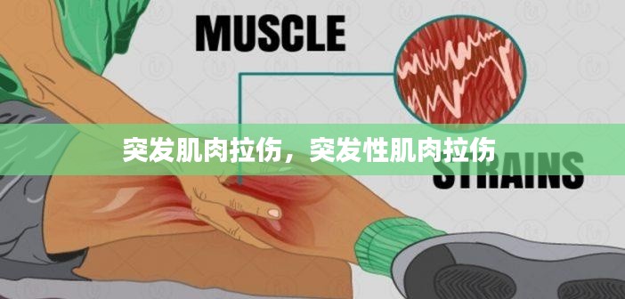 突發(fā)肌肉拉傷，突發(fā)性肌肉拉傷 