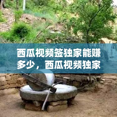 西瓜視頻簽獨家能賺多少，西瓜視頻獨家收益怎么樣 