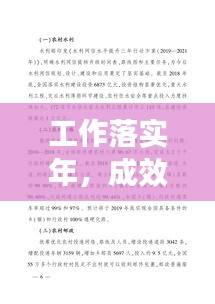 工作落實(shí)年，成效顯著，未來(lái)展望 —— 階段總結(jié)報(bào)告