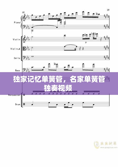 獨(dú)家記憶單簧管，名家單簧管獨(dú)奏視頻 