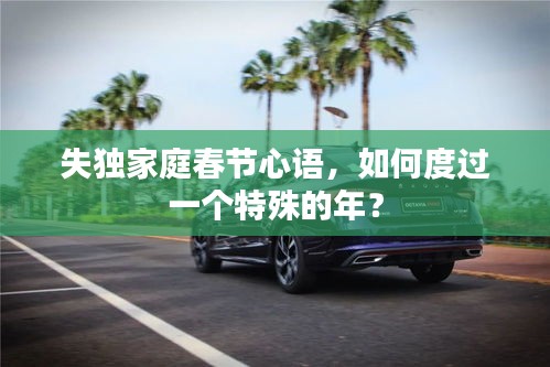 失獨(dú)家庭春節(jié)心語(yǔ)，如何度過(guò)一個(gè)特殊的年？