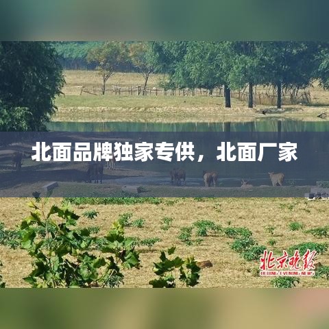北面品牌獨(dú)家專供，北面廠家 