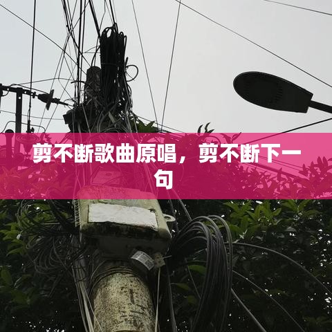 剪不斷歌曲原唱，剪不斷下一句 
