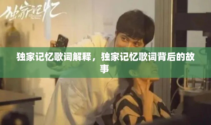 獨家記憶歌詞解釋，獨家記憶歌詞背后的故事 