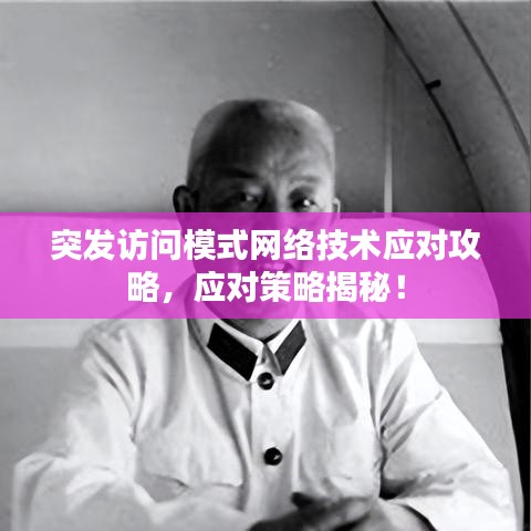 突發(fā)訪問模式網(wǎng)絡技術應對攻略，應對策略揭秘！