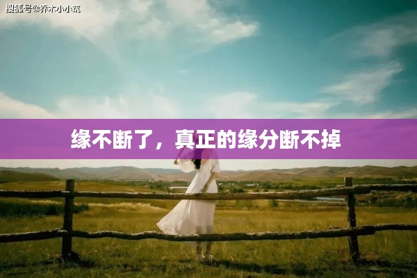 緣不斷了，真正的緣分?jǐn)嗖坏?