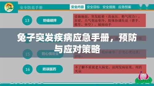 兔子突發(fā)疾病應(yīng)急手冊，預(yù)防與應(yīng)對策略