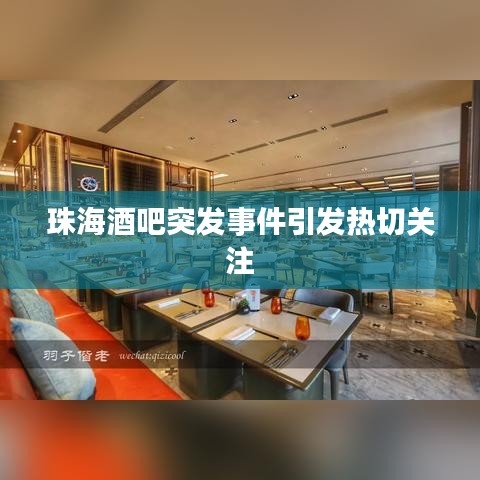 珠海酒吧突發(fā)事件引發(fā)熱切關(guān)注