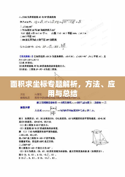面積求坐標(biāo)專題解析，方法、應(yīng)用與總結(jié)