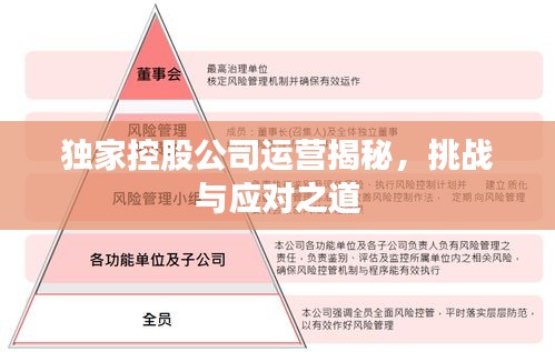 獨(dú)家控股公司運(yùn)營揭秘，挑戰(zhàn)與應(yīng)對之道