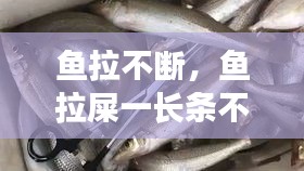 魚拉不斷，魚拉屎一長條不掉 