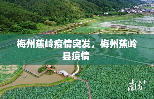 梅州蕉嶺疫情突發(fā)，梅州蕉嶺縣疫情 