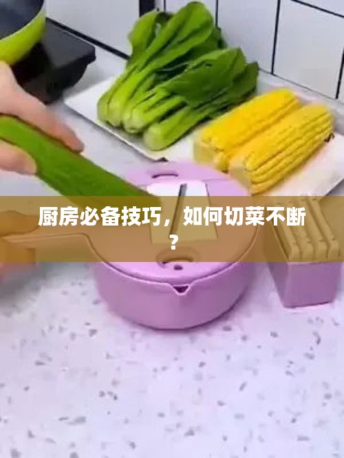 簞瓢陋巷 第2頁