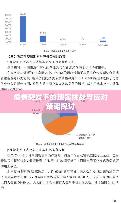 疫情突發(fā)下的現(xiàn)實(shí)挑戰(zhàn)與應(yīng)對(duì)策略探討