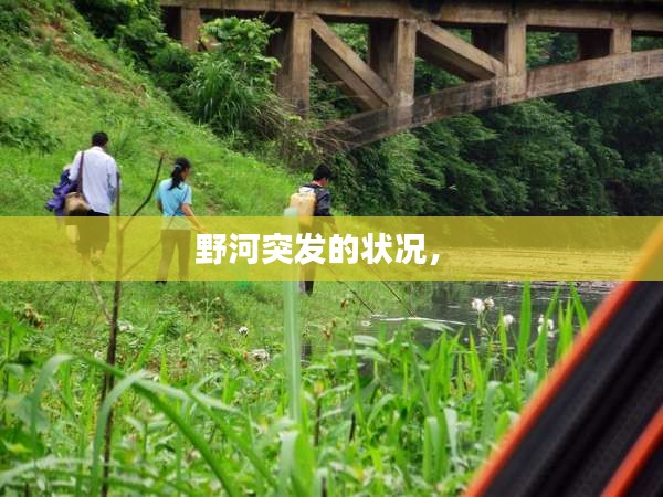 野河突發(fā)的狀況， 