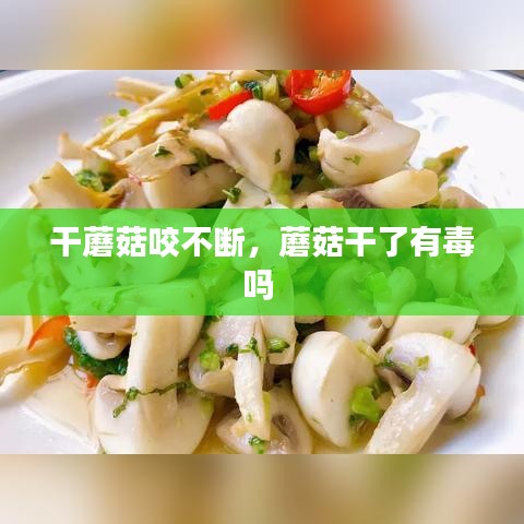 干蘑菇咬不斷，蘑菇干了有毒嗎 
