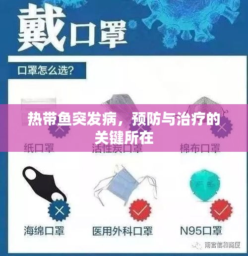 熱帶魚突發(fā)病，預防與治療的關鍵所在