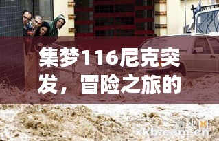 集夢116尼克突發(fā)，冒險之旅的驚喜瞬間
