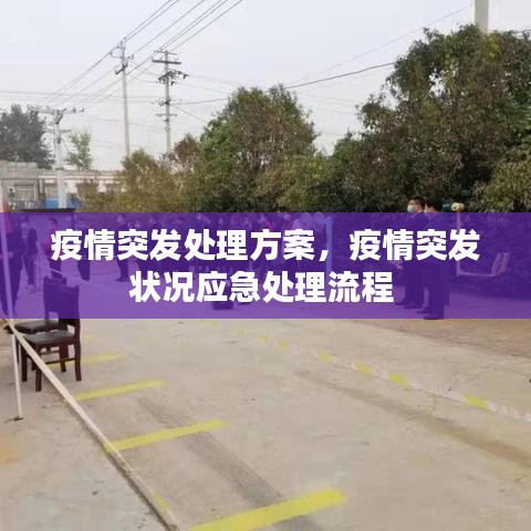 疫情突發(fā)處理方案，疫情突發(fā)狀況應(yīng)急處理流程 