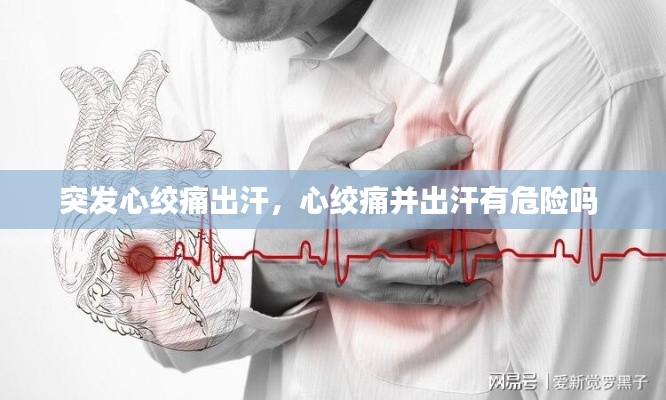 突發(fā)心絞痛出汗，心絞痛并出汗有危險嗎 
