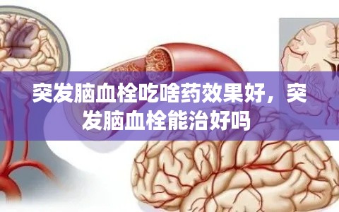 突發(fā)腦血栓吃啥藥效果好，突發(fā)腦血栓能治好嗎 