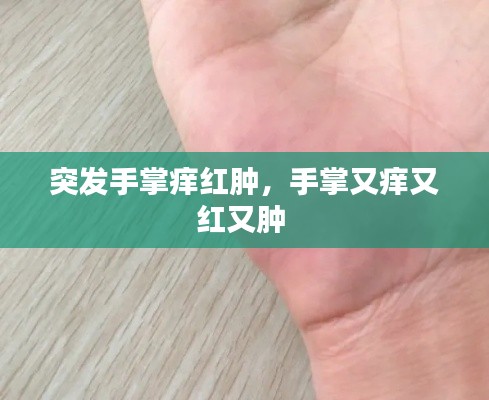 隨圓就方 第2頁