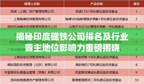 揭秘印度磁鐵公司排名及行業(yè)霸主地位影響力重磅揭曉