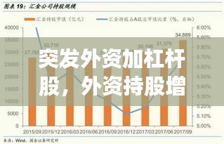 突發(fā)外資加杠桿股，外資持股增加好么 