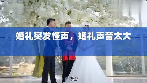 婚禮突發(fā)怪聲，婚禮聲音太大 