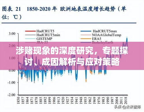 涉賭現(xiàn)象的深度研究，專題探討、成因解析與應對策略