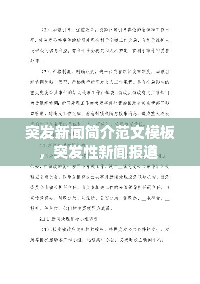 突發(fā)新聞簡介范文模板，突發(fā)性新聞報道 