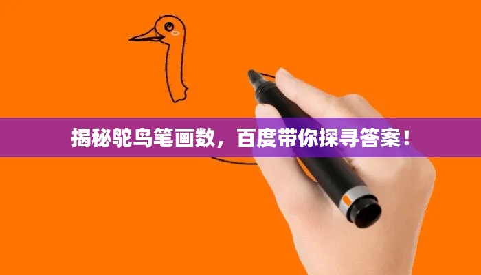 揭秘鴕鳥筆畫數(shù)，百度帶你探尋答案！