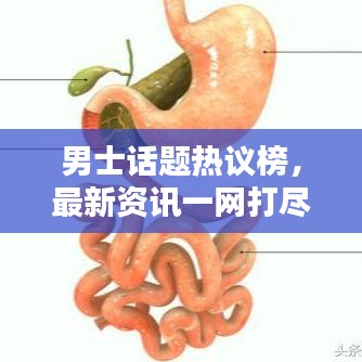 男士話題熱議榜，最新資訊一網打盡