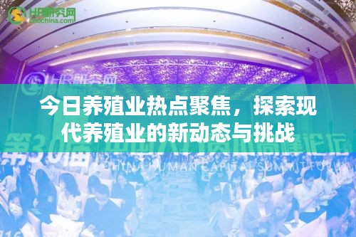 今日養(yǎng)殖業(yè)熱點(diǎn)聚焦，探索現(xiàn)代養(yǎng)殖業(yè)的新動(dòng)態(tài)與挑戰(zhàn)