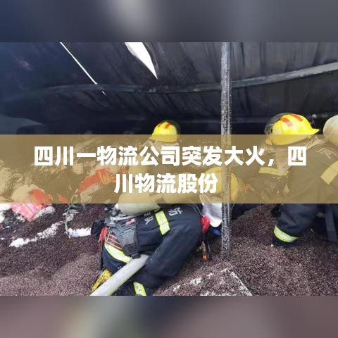 四川一物流公司突發(fā)大火，四川物流股份 