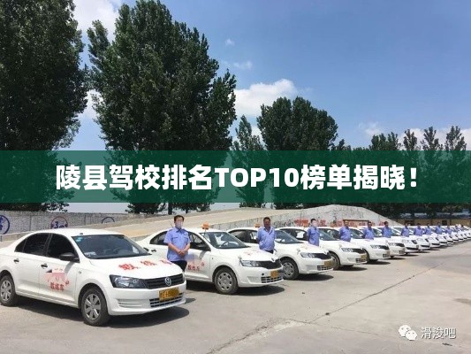 陵縣駕校排名TOP10榜單揭曉！