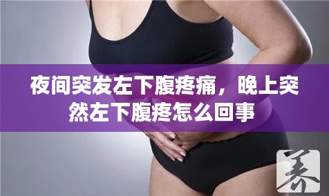 夜間突發(fā)左下腹疼痛，晚上突然左下腹疼怎么回事 