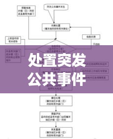 處置突發(fā)公共事件，處置突發(fā)公共事件有哪些策略技巧 