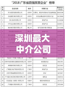深圳最大中介公司排名榜單揭曉！