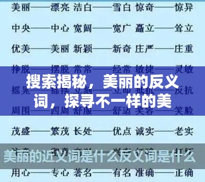 搜索揭秘，美麗的反義詞，探尋不一樣的美