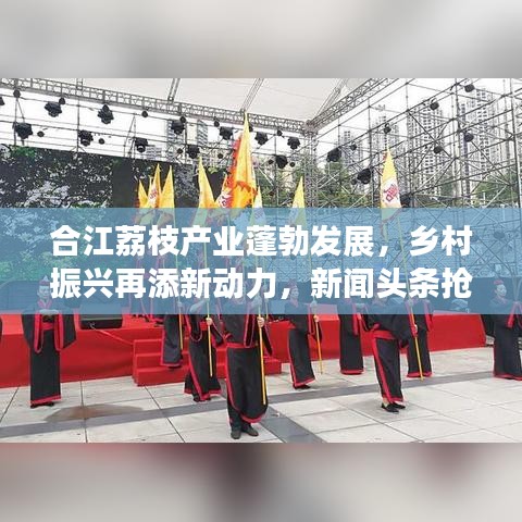 合江荔枝產(chǎn)業(yè)蓬勃發(fā)展，鄉(xiāng)村振興再添新動(dòng)力，新聞?lì)^條搶先看！