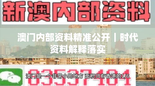 澳門內部資料精準公開｜時代資料解釋落實