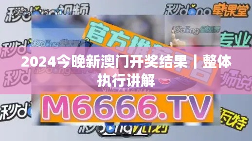 2024今晚新澳門開獎結果｜整體執(zhí)行講解