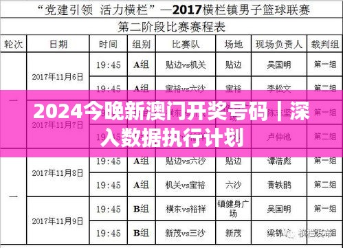 2024今晚新澳門開獎號碼｜深入數(shù)據(jù)執(zhí)行計劃