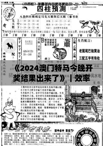 《2024澳門特馬今晚開獎結(jié)果出來了》｜效率資料解釋落實