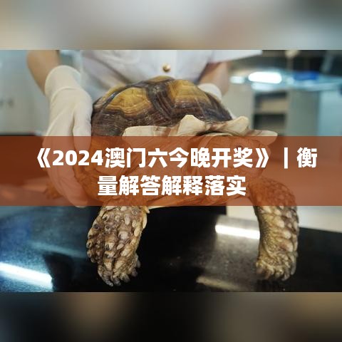 《2024澳門六今晚開獎》｜衡量解答解釋落實